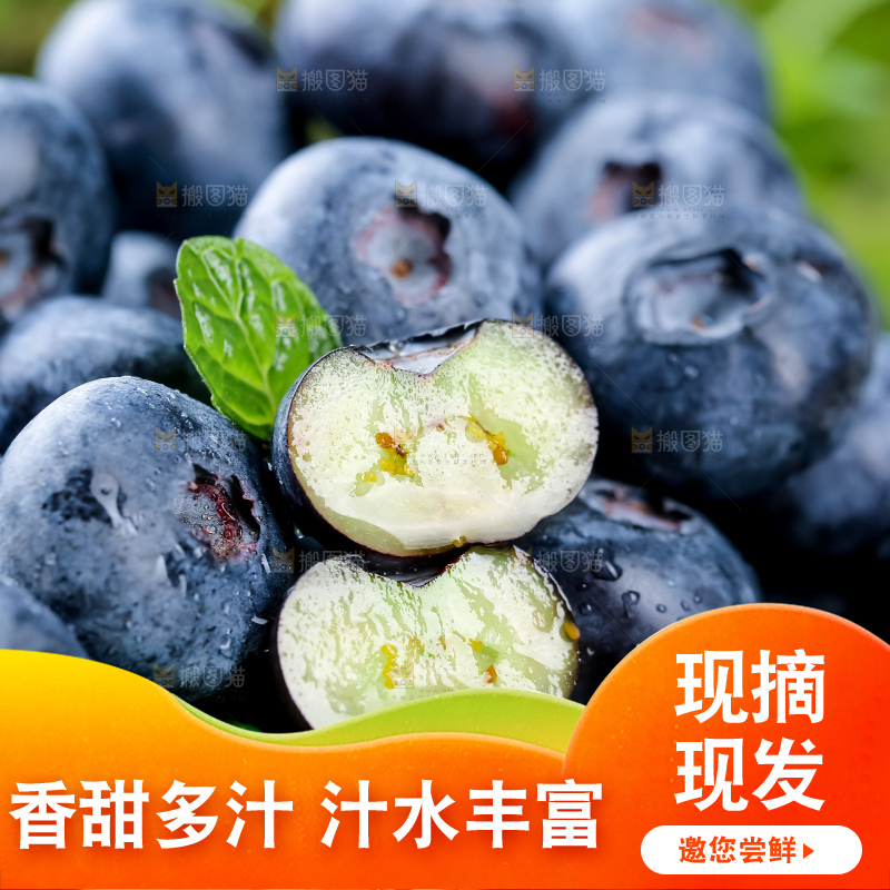 蓝莓
