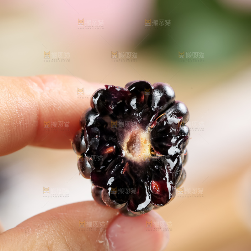 黑莓