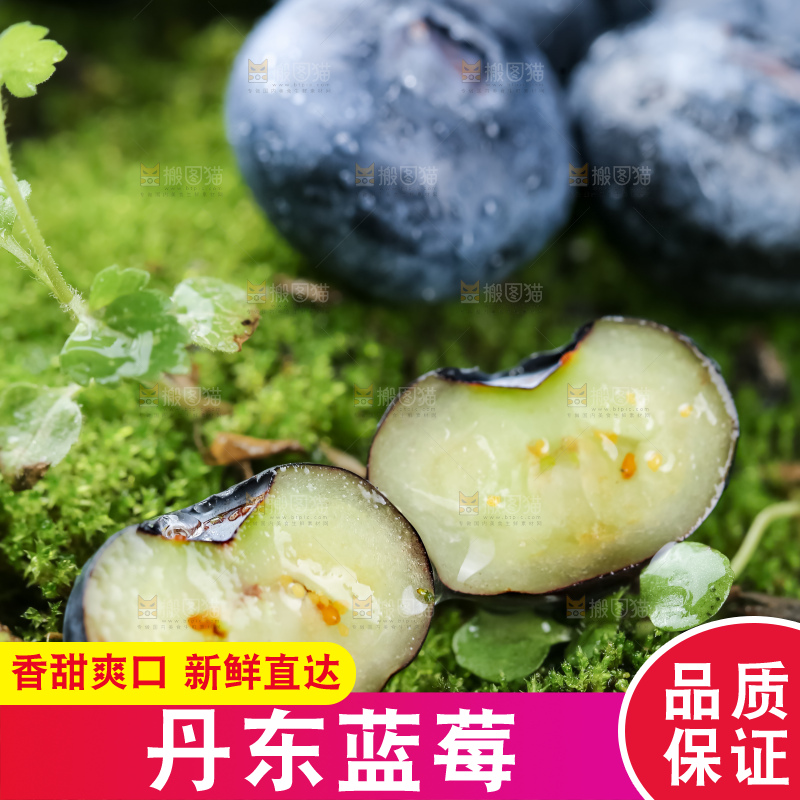 蓝莓