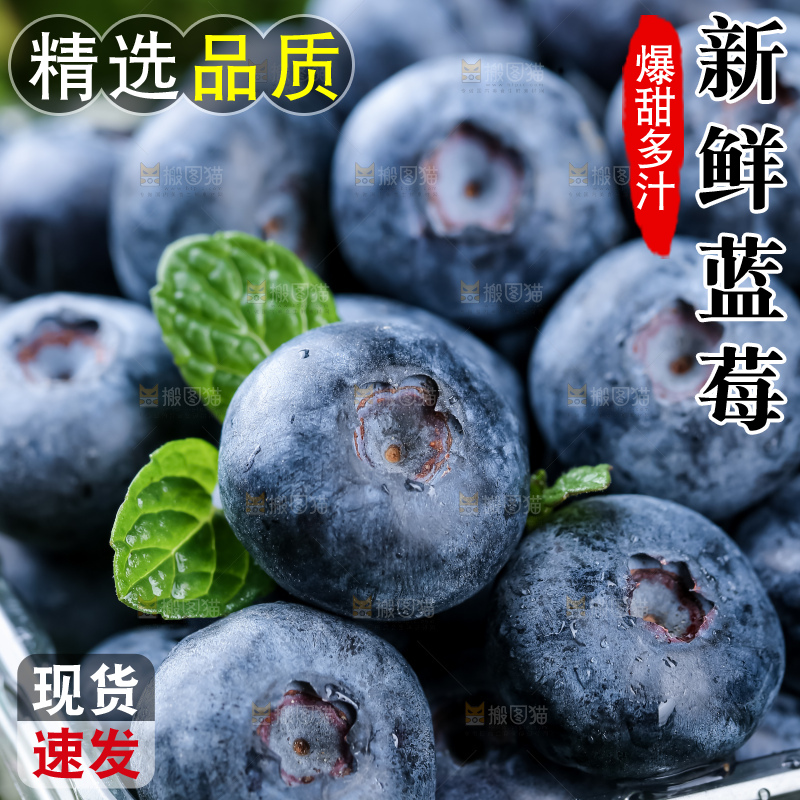 蓝莓