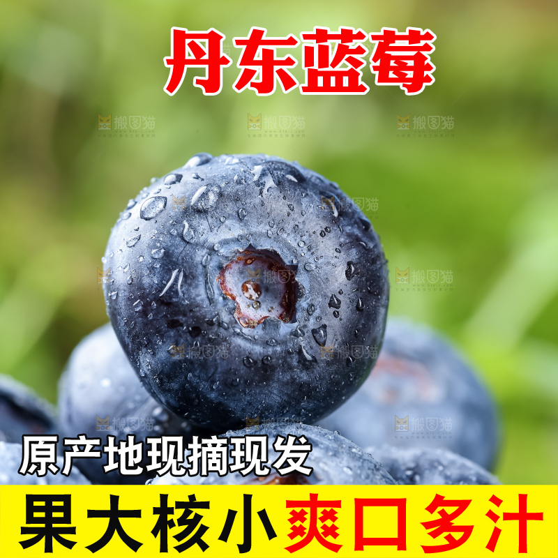 蓝莓