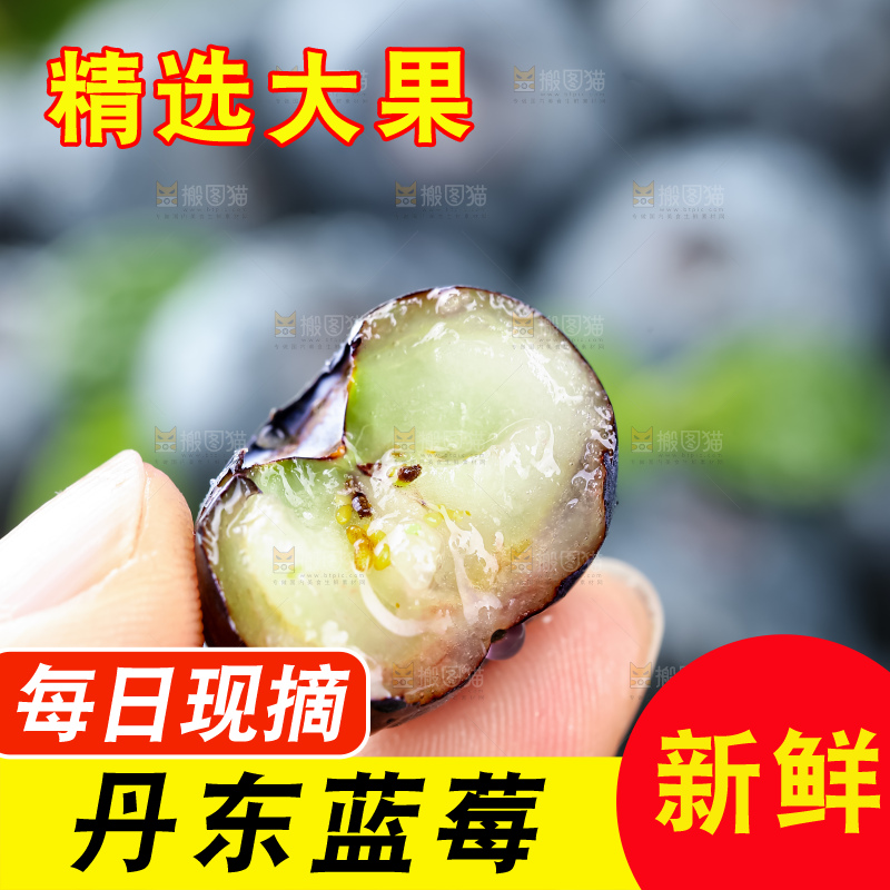 蓝莓