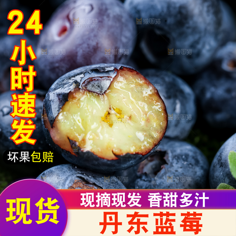 蓝莓
