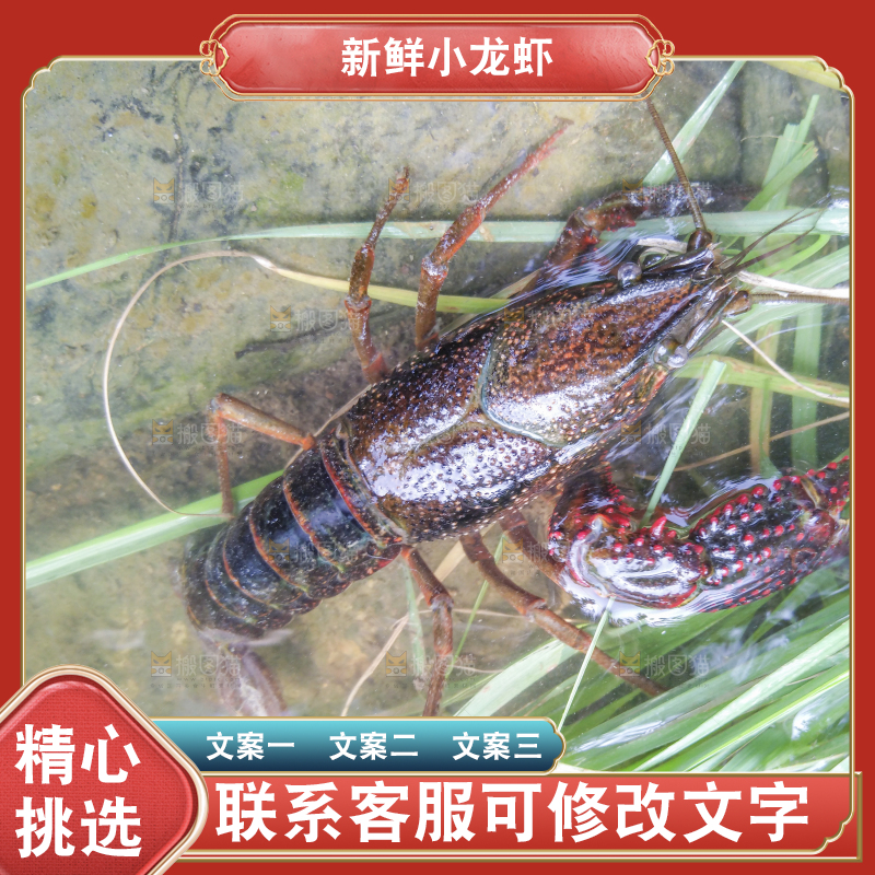小龙虾