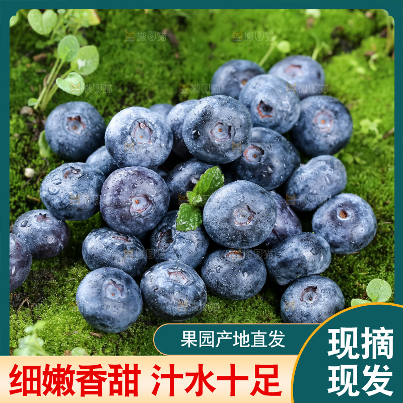 蓝莓