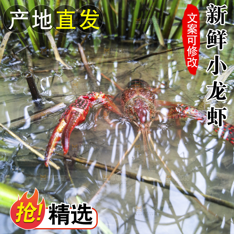 小龙虾
