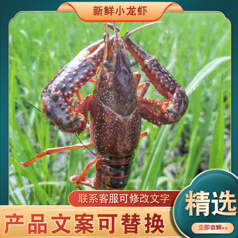 小龙虾