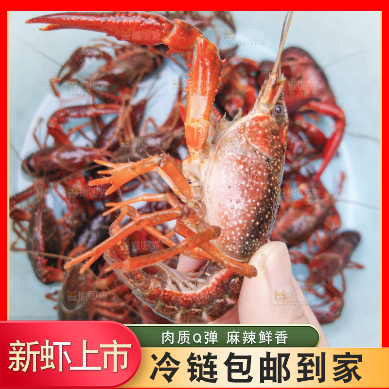 小龙虾