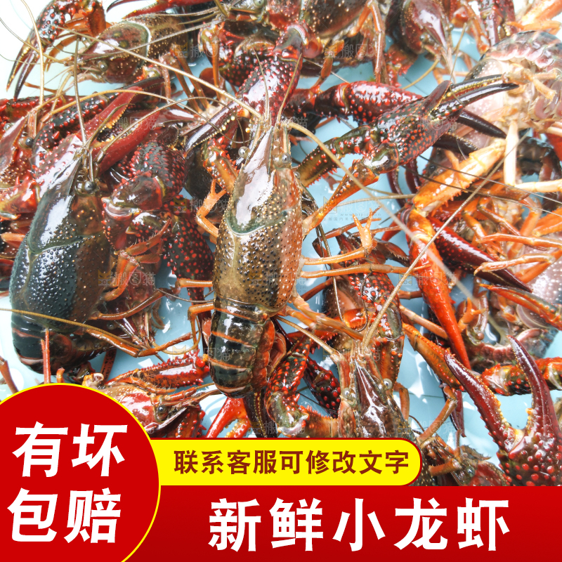 小龙虾