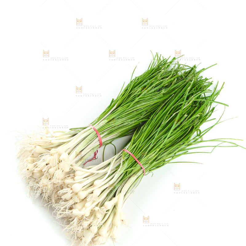 野葱