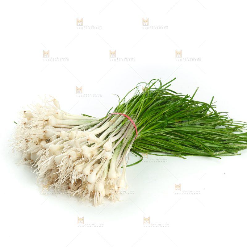 野葱