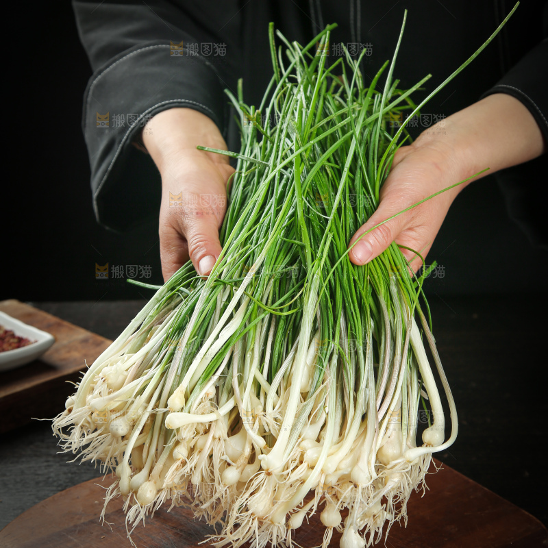 野葱