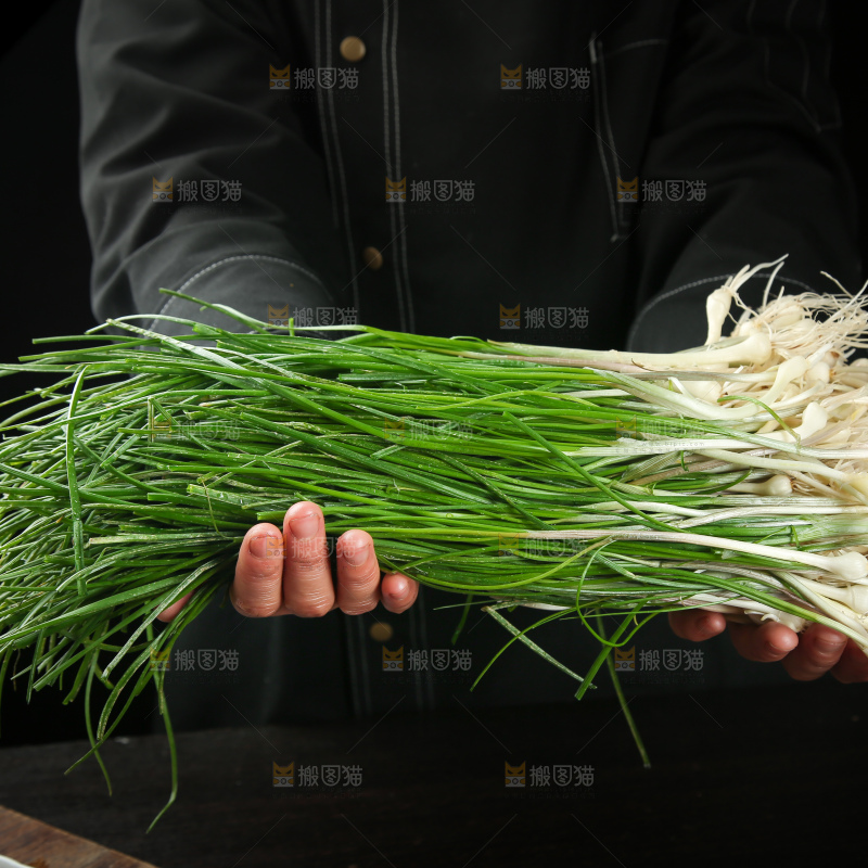 野葱
