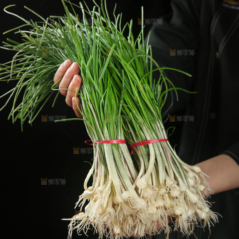 野葱