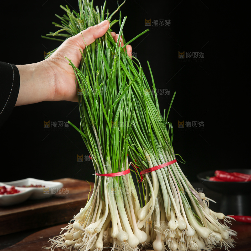 野葱