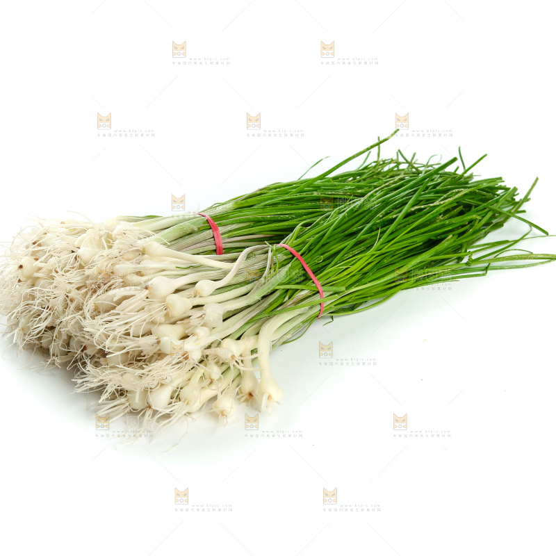 野葱