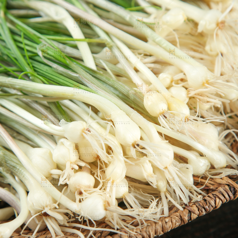 野葱