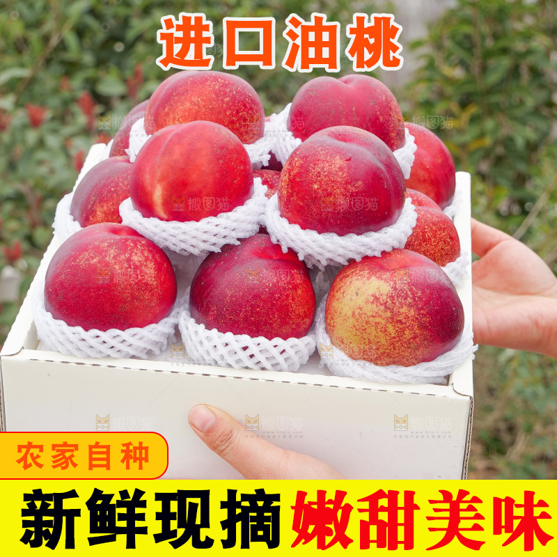 澳洲油桃