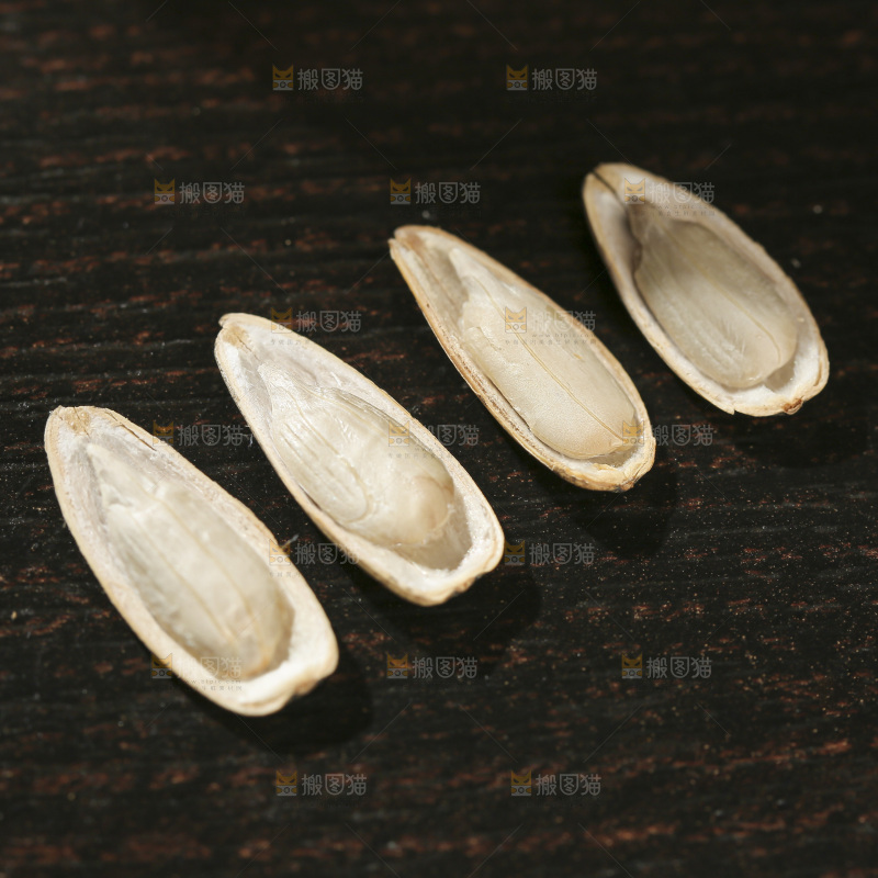 葵花籽