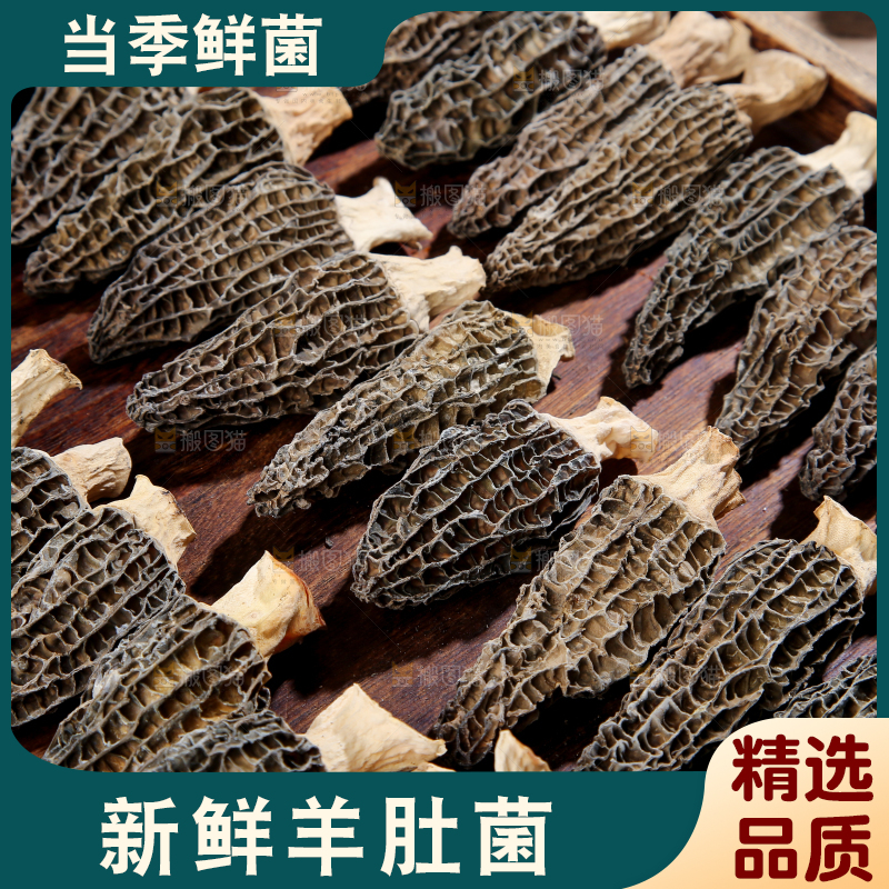 羊肚菌