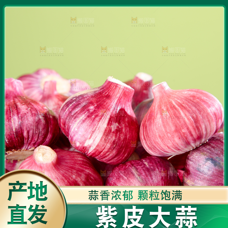 紫皮大蒜