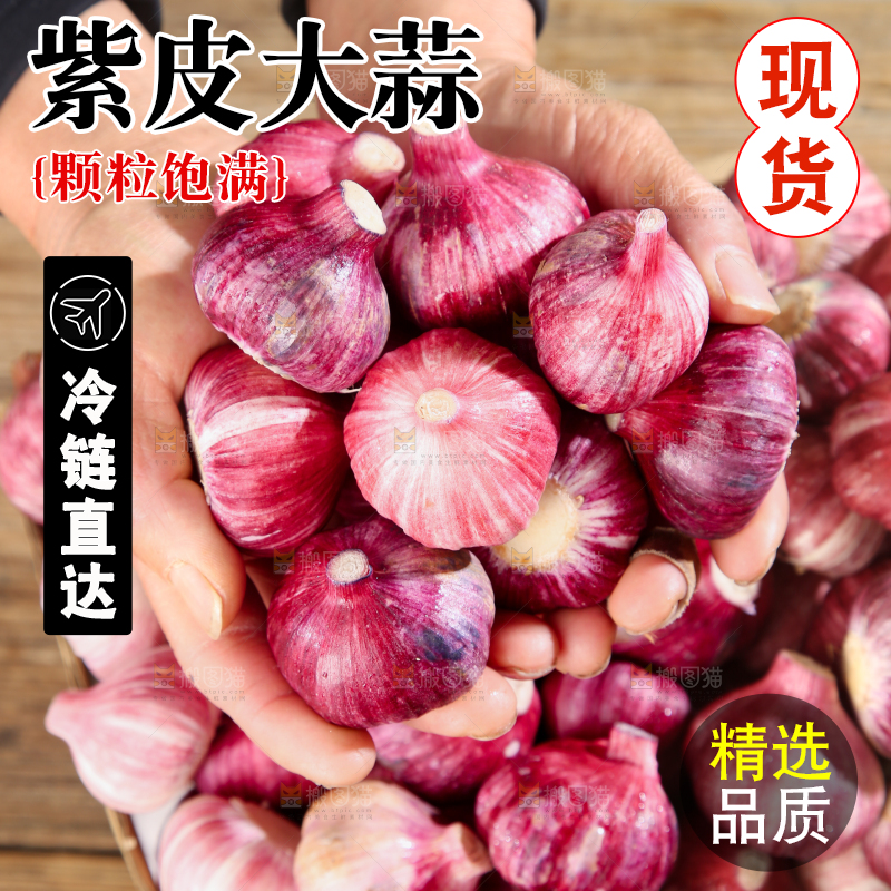紫皮大蒜
