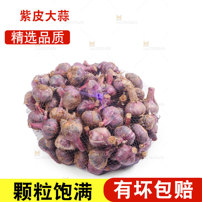 紫皮大蒜
