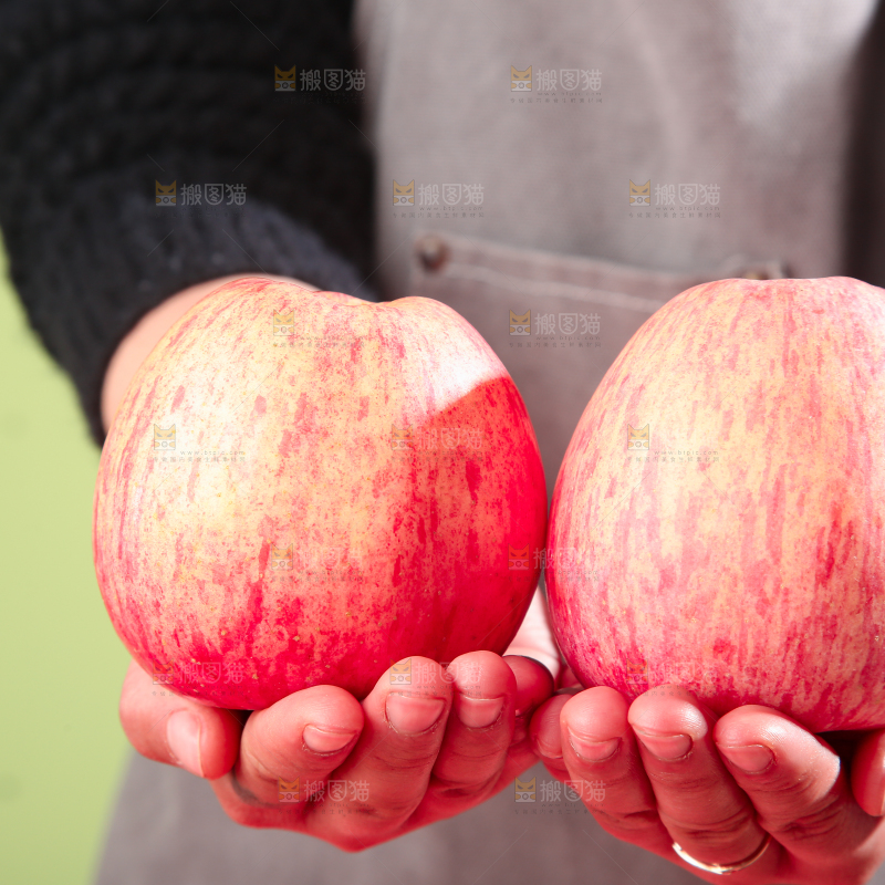 洛川苹果
