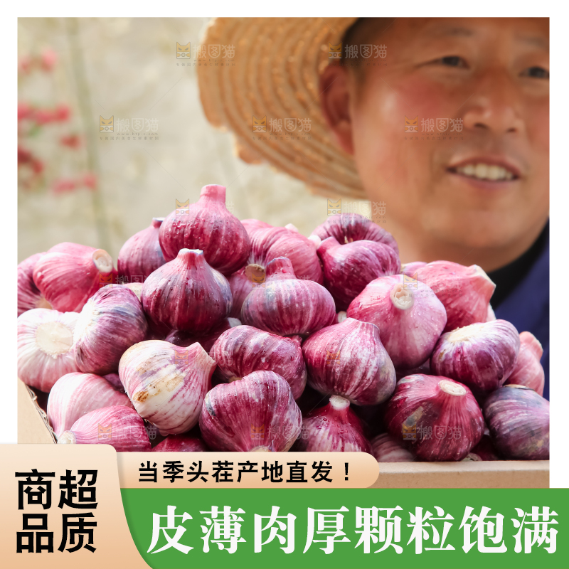 紫皮大蒜