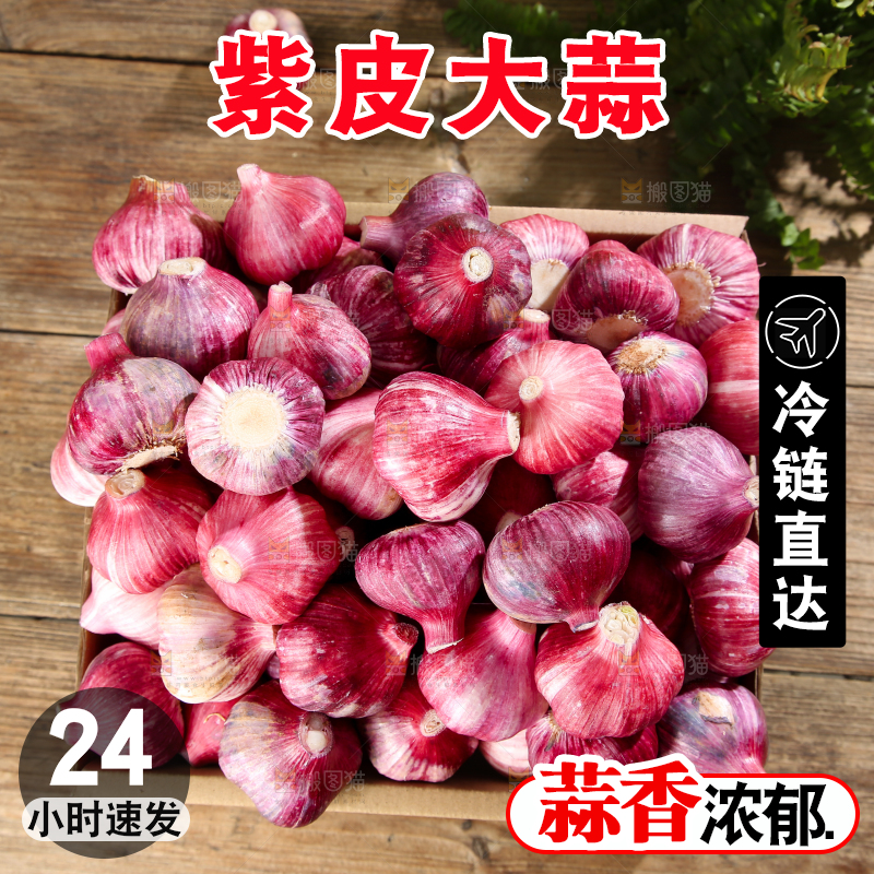 紫皮大蒜