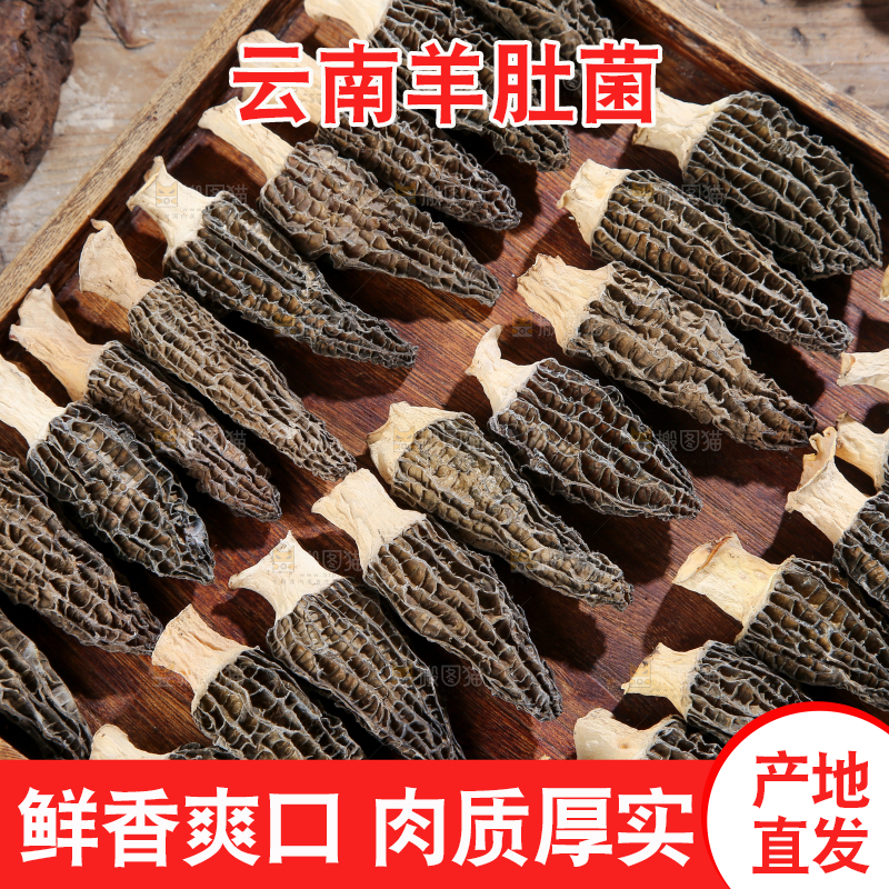 羊肚菌
