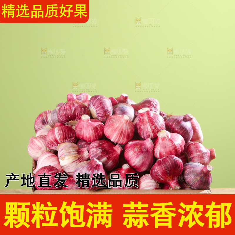 紫皮大蒜