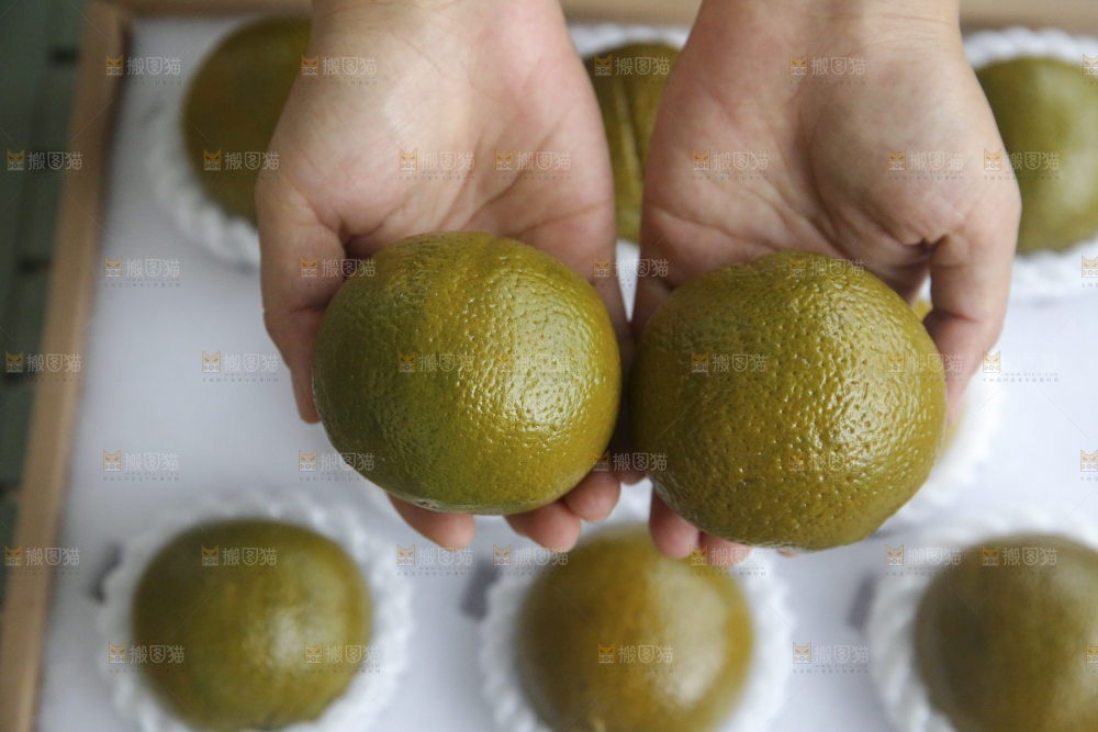 巧克力橙