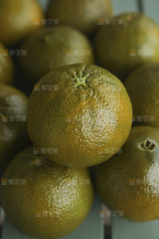 巧克力橙