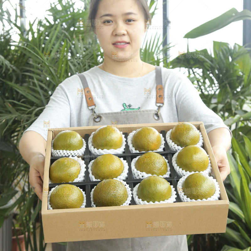 巧克力橙