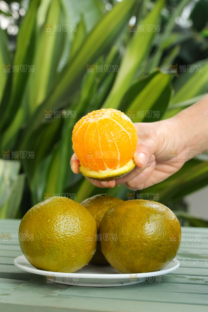 巧克力橙