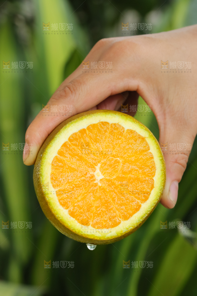巧克力橙
