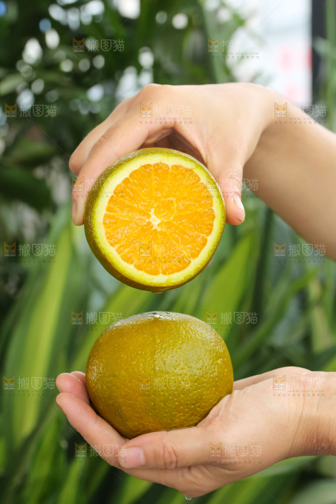 巧克力橙