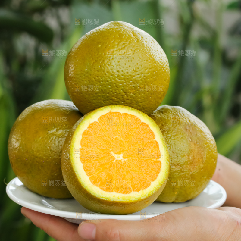 巧克力橙