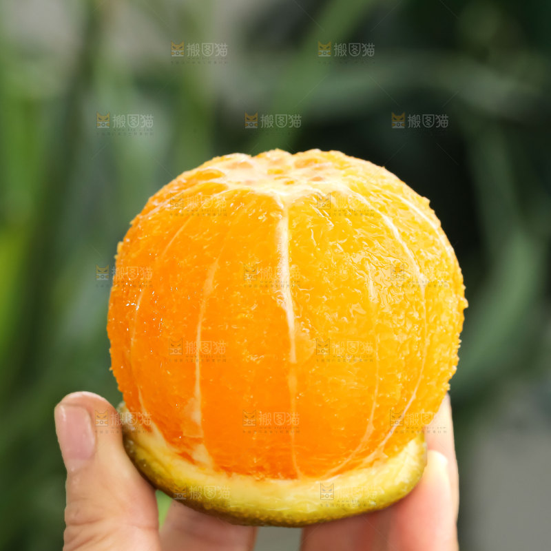 巧克力橙