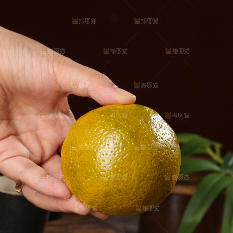 巧克力橙