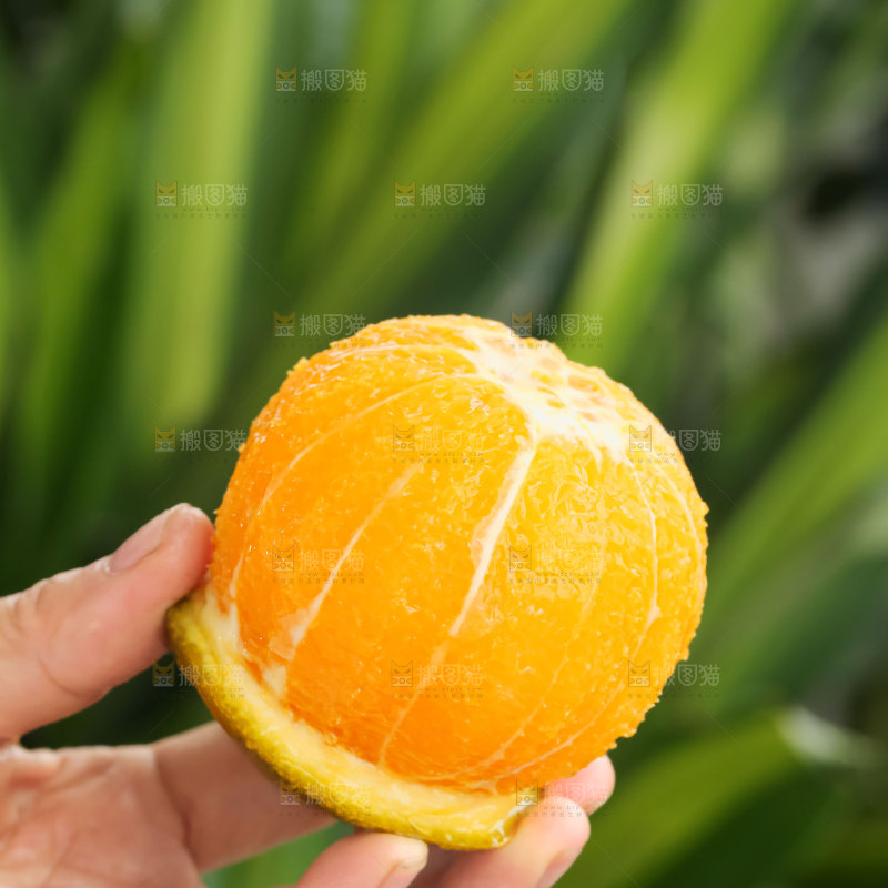 巧克力橙