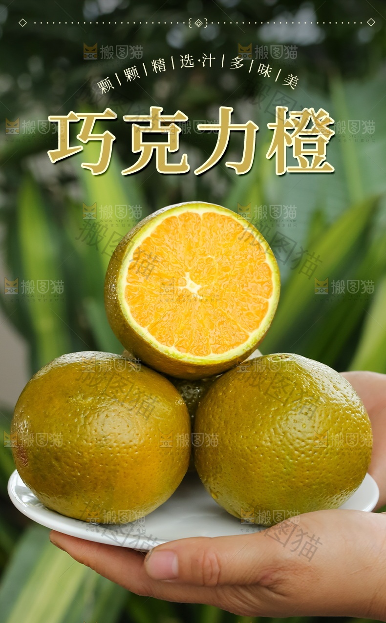 巧克力橙详情页