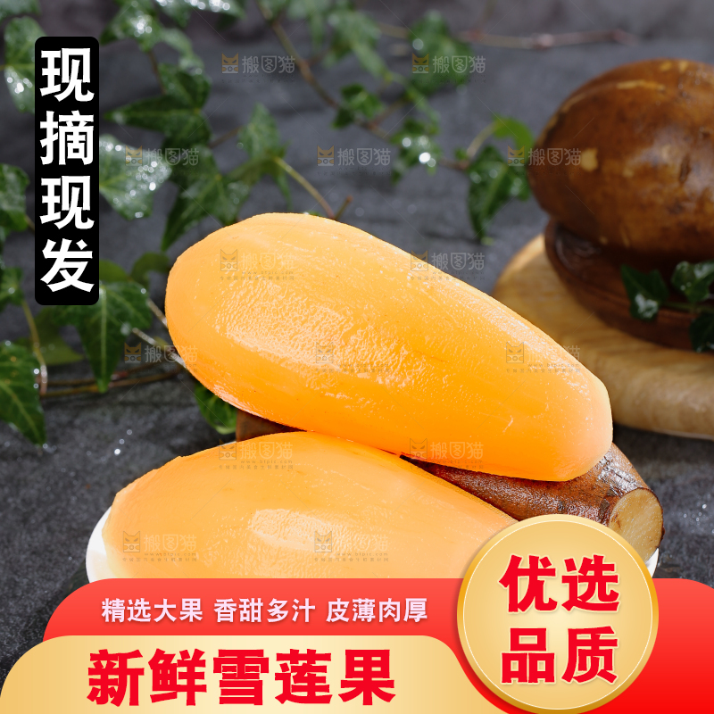 雪莲果