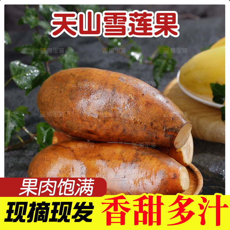 雪莲果