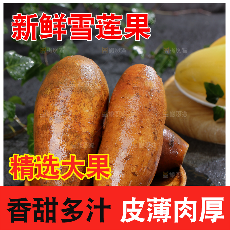 雪莲果