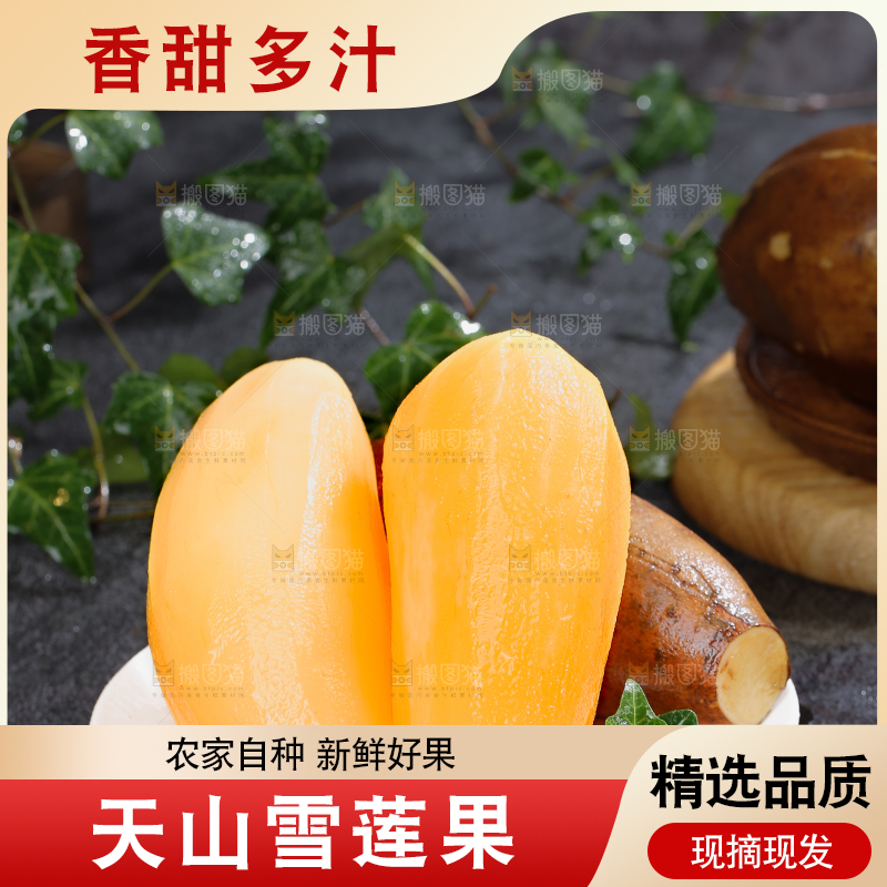 雪莲果