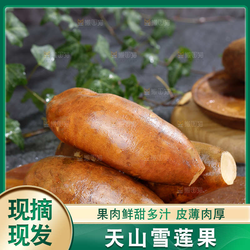 雪莲果