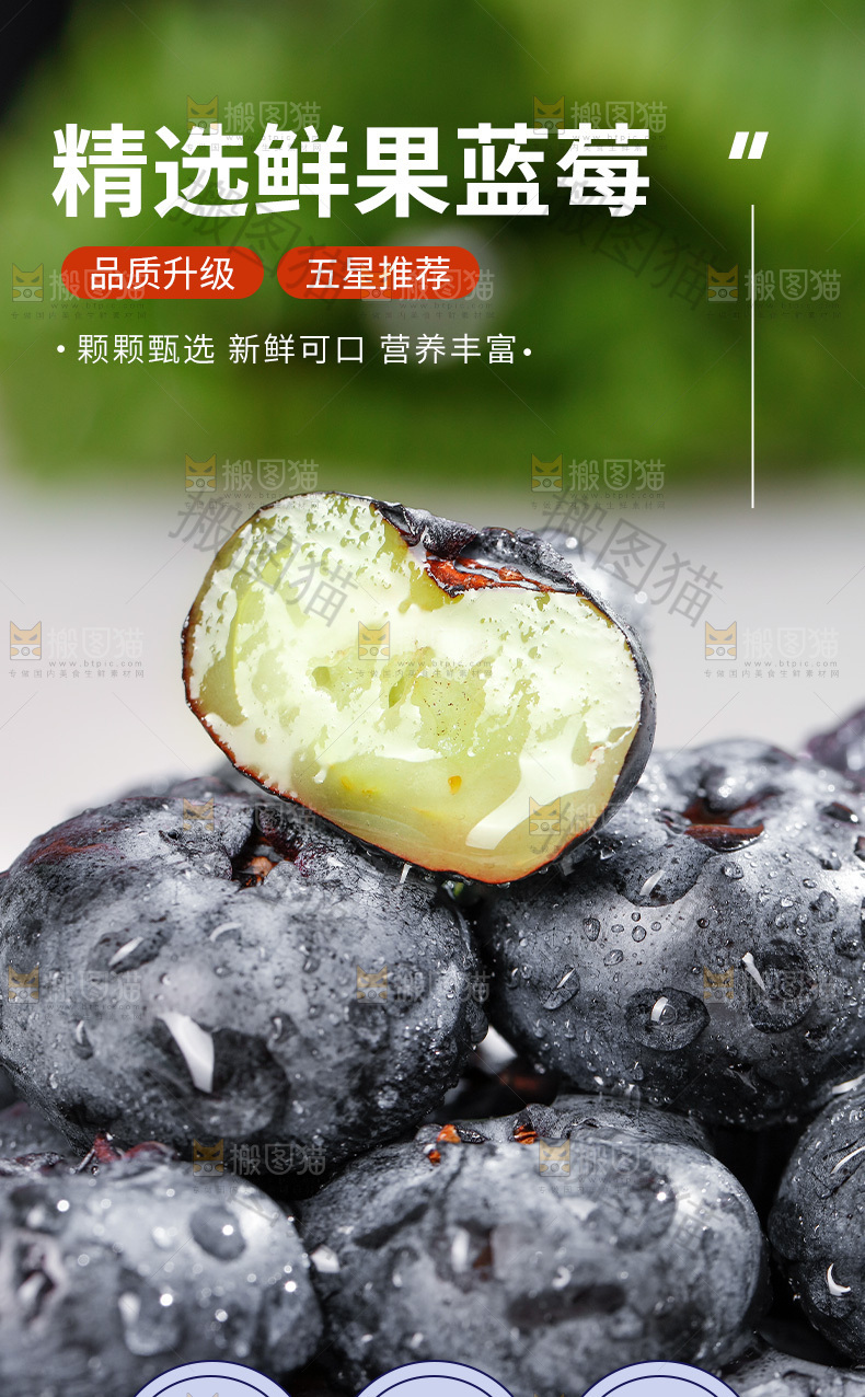 蓝莓详情页