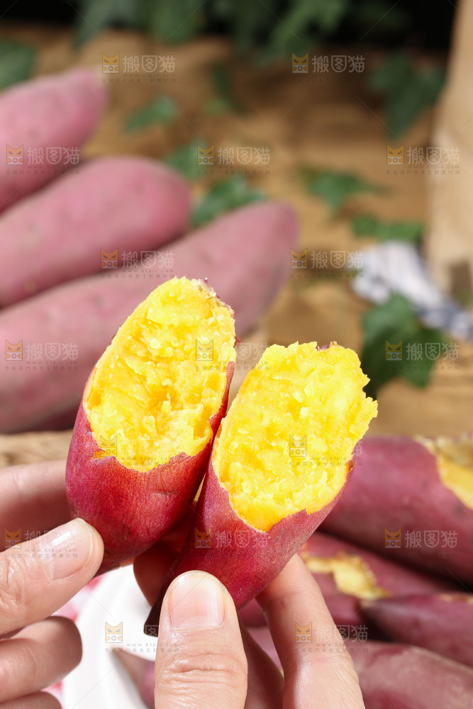 小香薯